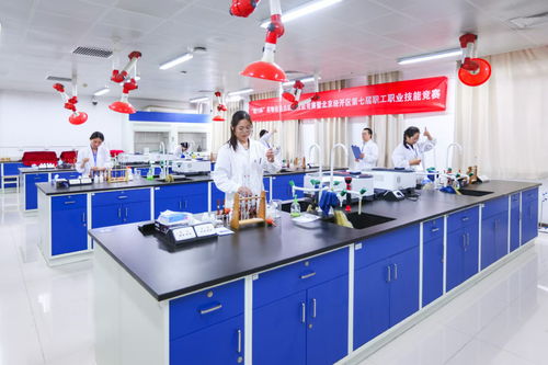 北京經(jīng)開(kāi)區(qū)舉辦“精藝杯”藥物檢驗(yàn)員職業(yè)技能競(jìng)賽，助推產(chǎn)業(yè)人才高地建設(shè)