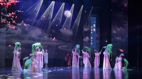 話劇我來演，宋韻你來品 溫州市精品劇目展演精彩上演